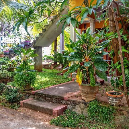 Sigiri Regal Residence Sigiriya Exterior foto